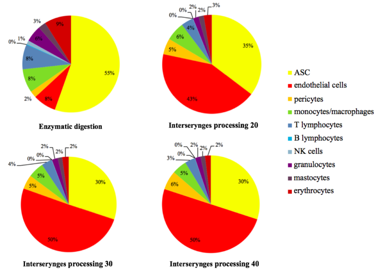 Optimisation de la production de la Fraction Vasculaire Stromale (FVS) du tissu adipeux par dissociation mécanique: Analyse phénotypique et études des propriétés immunomodulatrices